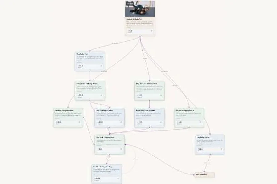 Back Attack 2.0, Vol 2: Seatbelt to Hooks flowchart preview